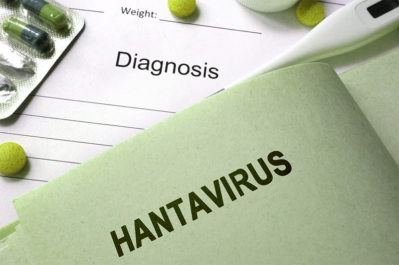 hantavirus 1
