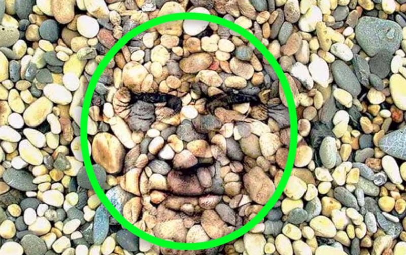 Bu Resimde İnsan Yüzünü Bulabilir Misiniz? 3 insan yuzu