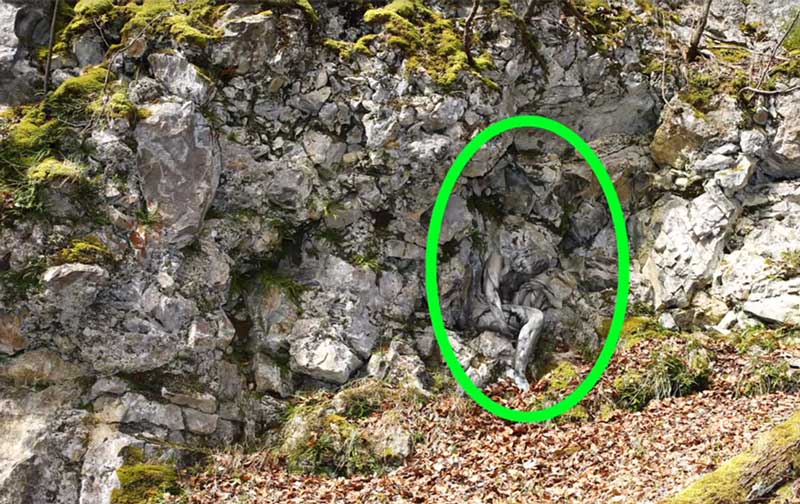 Bu Resimde İnsan Yüzünü Bulabilir Misiniz? 5 kadinyuzu