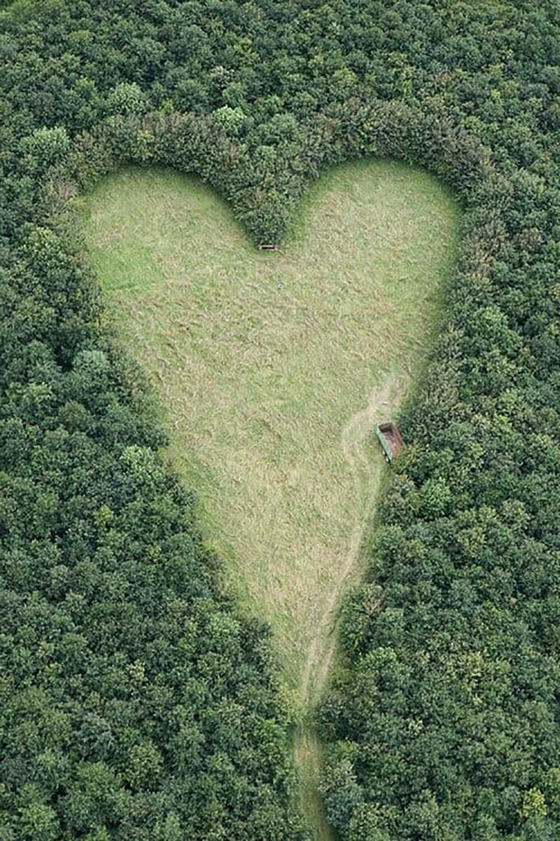 ormandan kalp yapmak