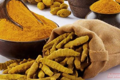 dun sumak bugun zerdecal yarin ise