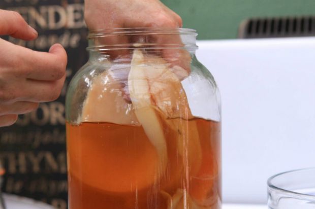 Doğal Bağışıklık Güçlendiren Faydalı Öneriler 8 kombu cayi