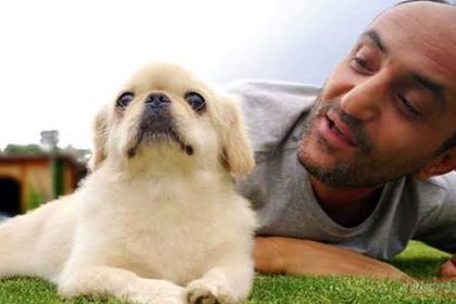 ersin korkutun kopegi mes