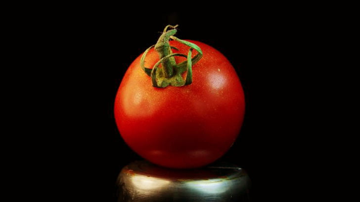 Test: Günlük Hayatta Kullandığımız Nesneleri Yakından Bakınca Tanıyabilecek Misin? 22 domates uzaktan