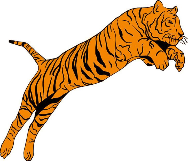 Resimde Gördüğün İlk Hayvan, Karakterini Ortaya Çıkaracak! 3 kaplan