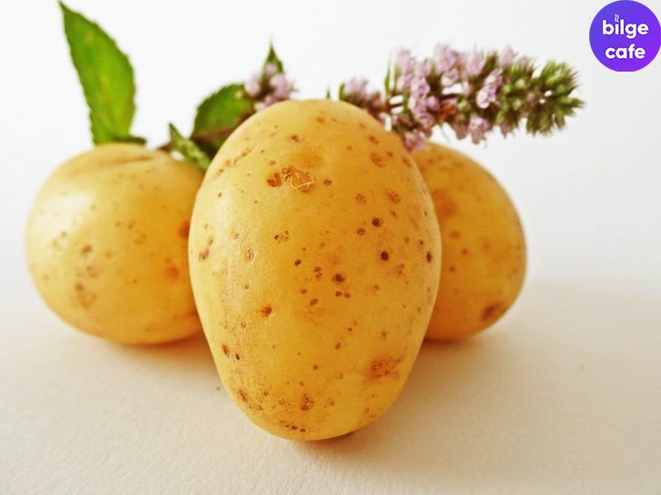 Evde Bulunan 9 Malzemeyle Göz Altı Morluklarından Kurtulun 4 patates suyu