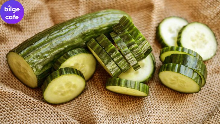 Evde Bulunan 9 Malzemeyle Göz Altı Morluklarından Kurtulun 5 salatalik