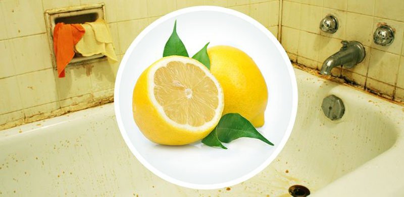 limon gucu