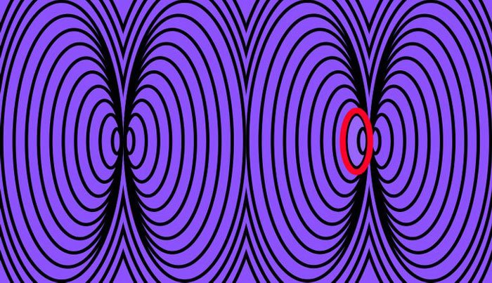 Mükemmel Renk Algısına Sahip Kişiler Farklı Renkleri Ayırt Edebilir 13 daireler2