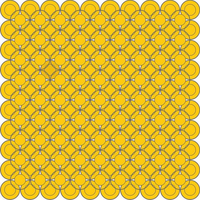 Mükemmel Renk Algısına Sahip Kişiler Farklı Renkleri Ayırt Edebilir 6 dairezor