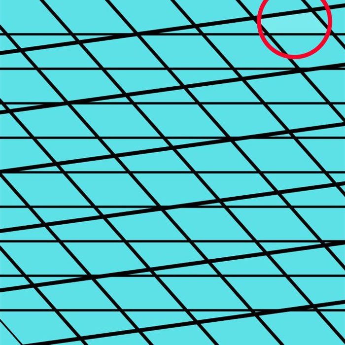 Mükemmel Renk Algısına Sahip Kişiler Farklı Renkleri Ayırt Edebilir 9 kare2