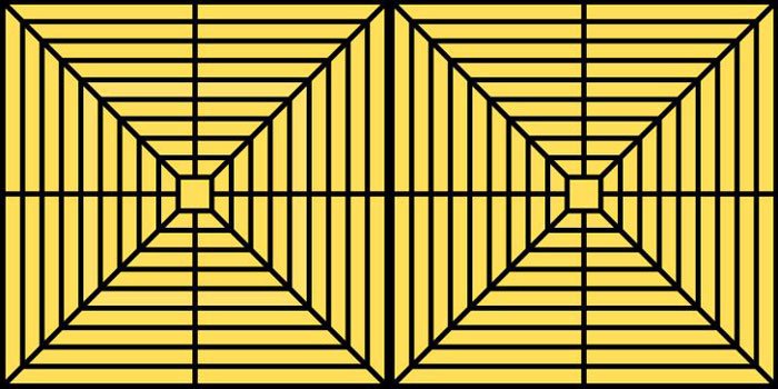 Mükemmel Renk Algısına Sahip Kişiler Farklı Renkleri Ayırt Edebilir 14 orumcek