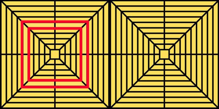 Mükemmel Renk Algısına Sahip Kişiler Farklı Renkleri Ayırt Edebilir 15 orumcek2