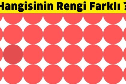 Mükemmel Renk Algısına Sahip Kişiler Farklı Renkleri Ayırt Edebilir 2 rengi farkli olan