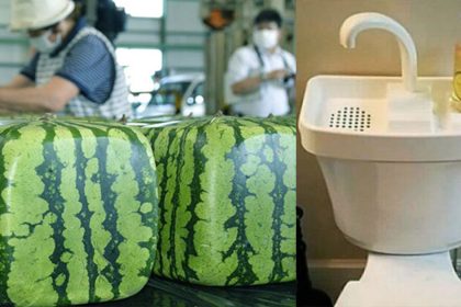 ulkemizde de olsa japon gercekleri