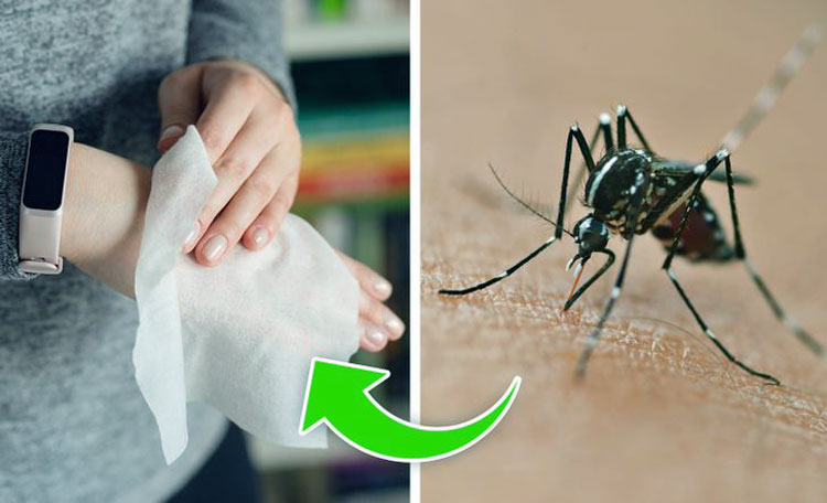 Sütün Hiç Aklınıza Gelmeyecek Kullanım Alanları 7 BOCEK ISIRIGI