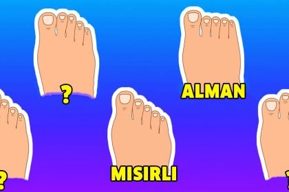 Ayak Şeklinize Göre Kökeninizi Öğrenin 6 ayak tipi koken