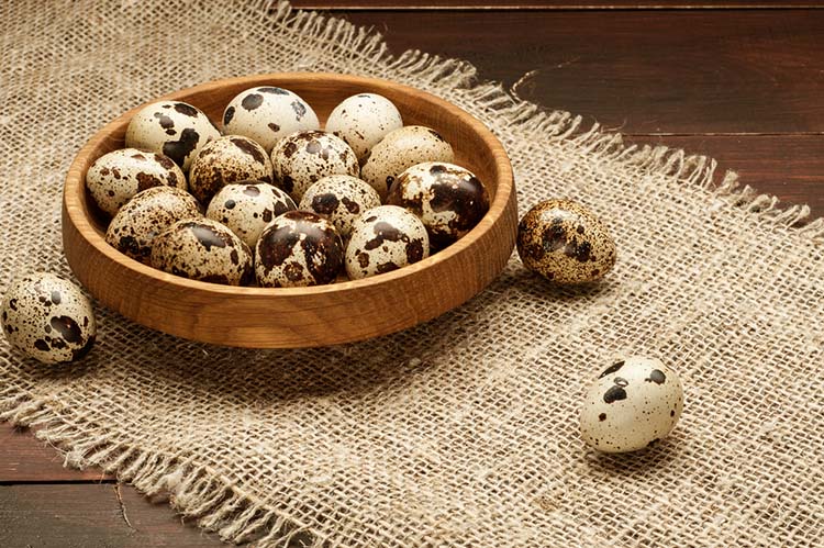 Rüyada Yumurta Görmek Ne Anlama Geliyor? Bilgecafe